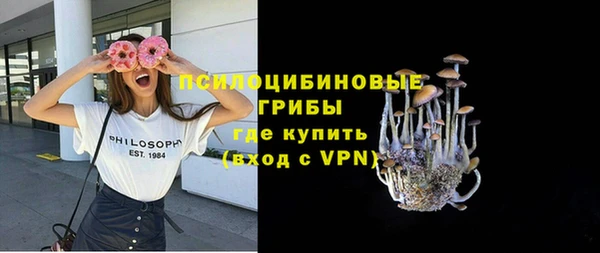 спиды Бронницы