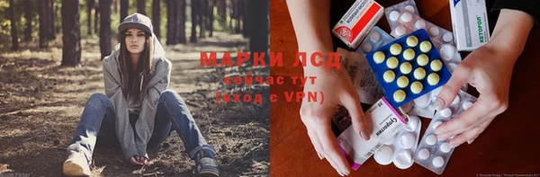 спиды Бронницы
