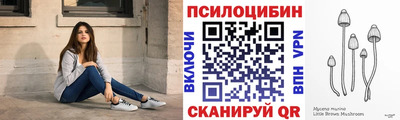 купить закладку  Щучье  Псилоцибиновые грибы MAGIC MUSHROOMS 