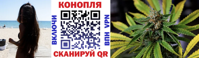 где купить наркотик  Щучье  Бошки Шишки AK-47 